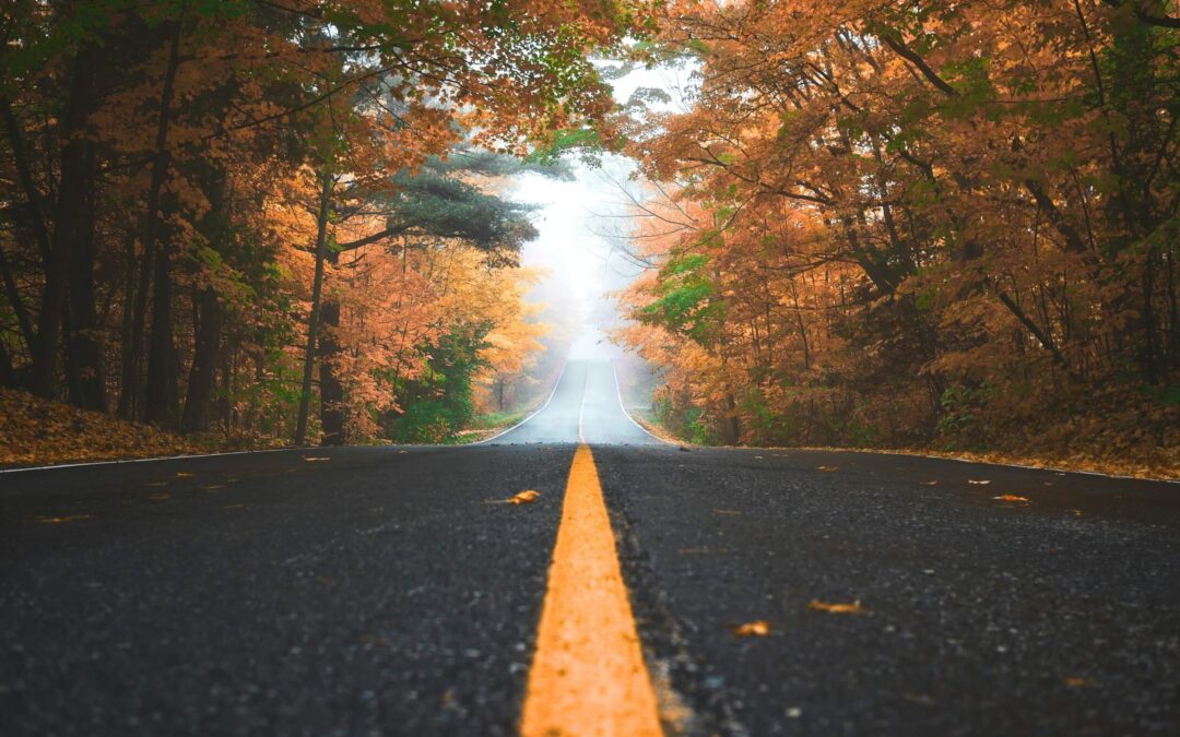 The Journey…