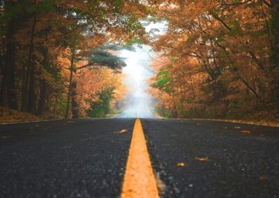 autumn forest road view