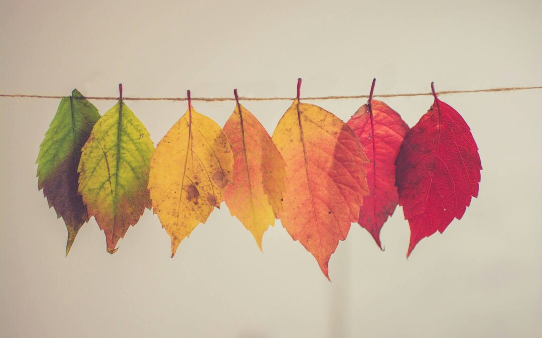 Why Change Is So Tough: A Therapist’s Perspective