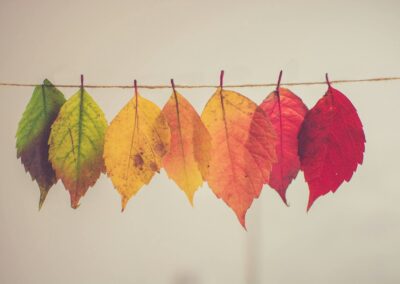 colorful autumn leaves hanging