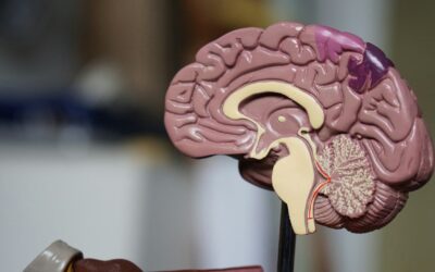 Therapy is not a Scam, It’s Science!