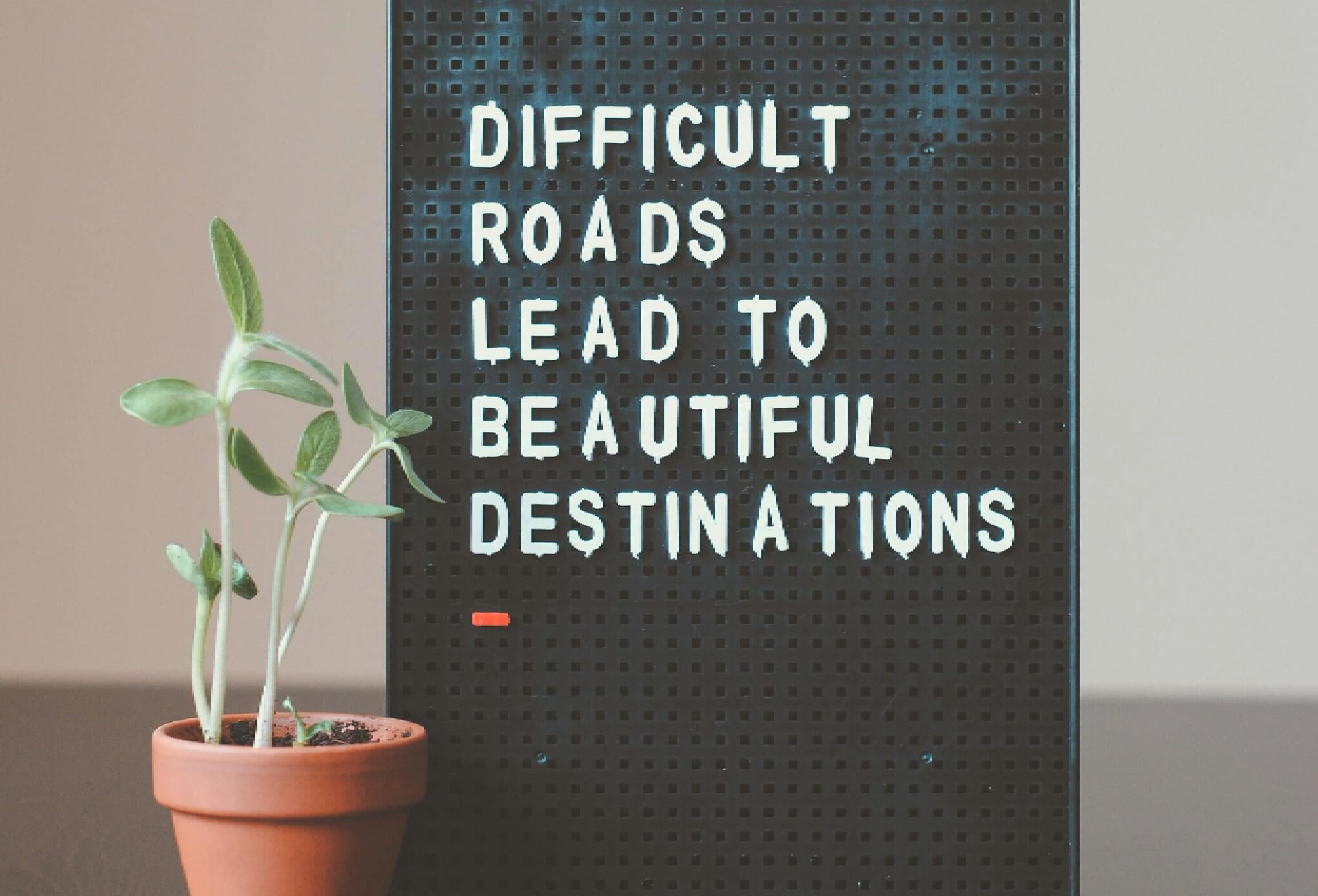 motivational quote with plant decor