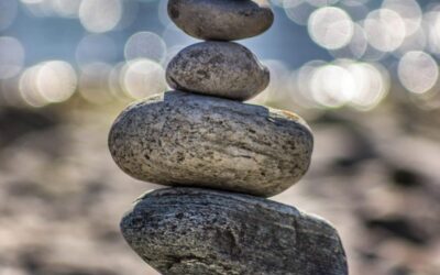 Wellness: The Absence of Disease?