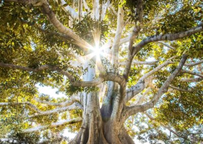Living a Rich and Meaningful Life: Embracing the Fullness of Our Human Experience