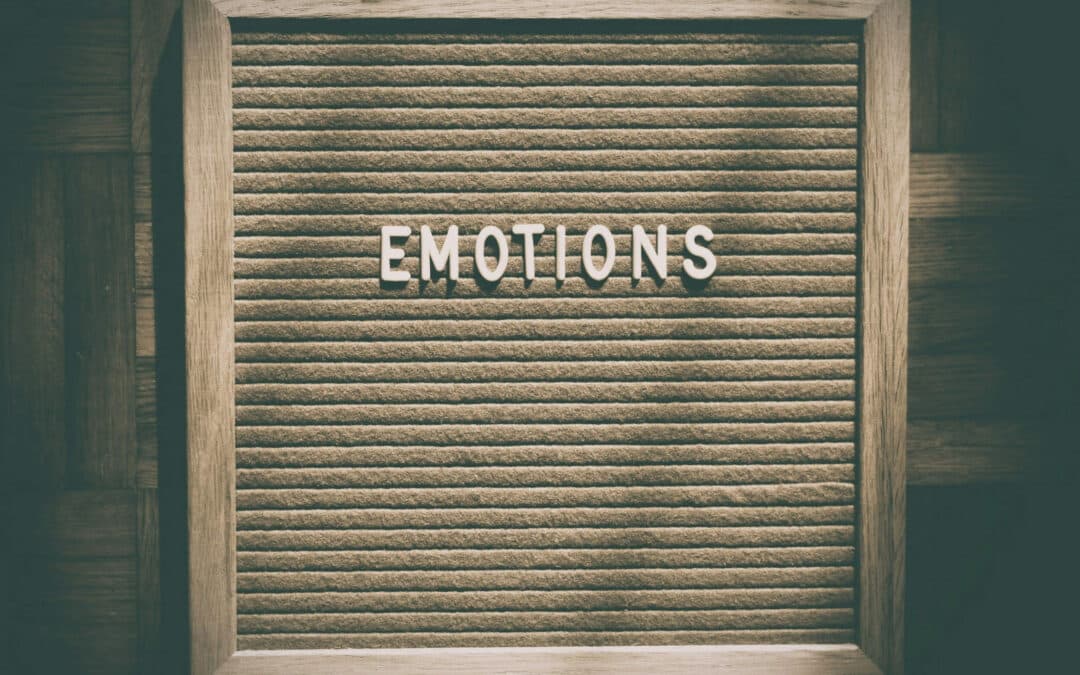 The Rationality of Emotions