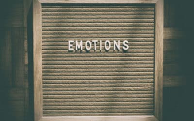 The Rationality of Emotions