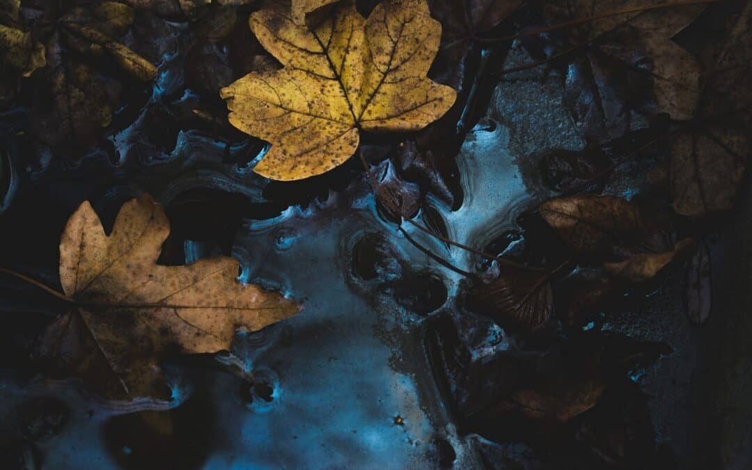 When Fall Feels Heavy: Coping with Utah’s Seasonal Shift