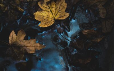 When Fall Feels Heavy: Coping with Utah’s Seasonal Shift