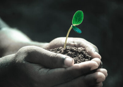 The Difference Between Growth and Self-Criticism